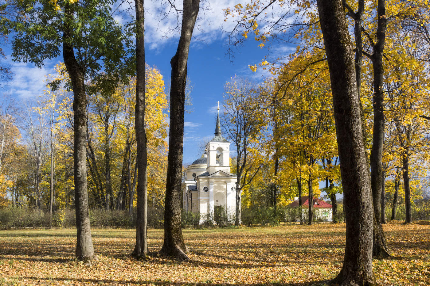 Осень золотая