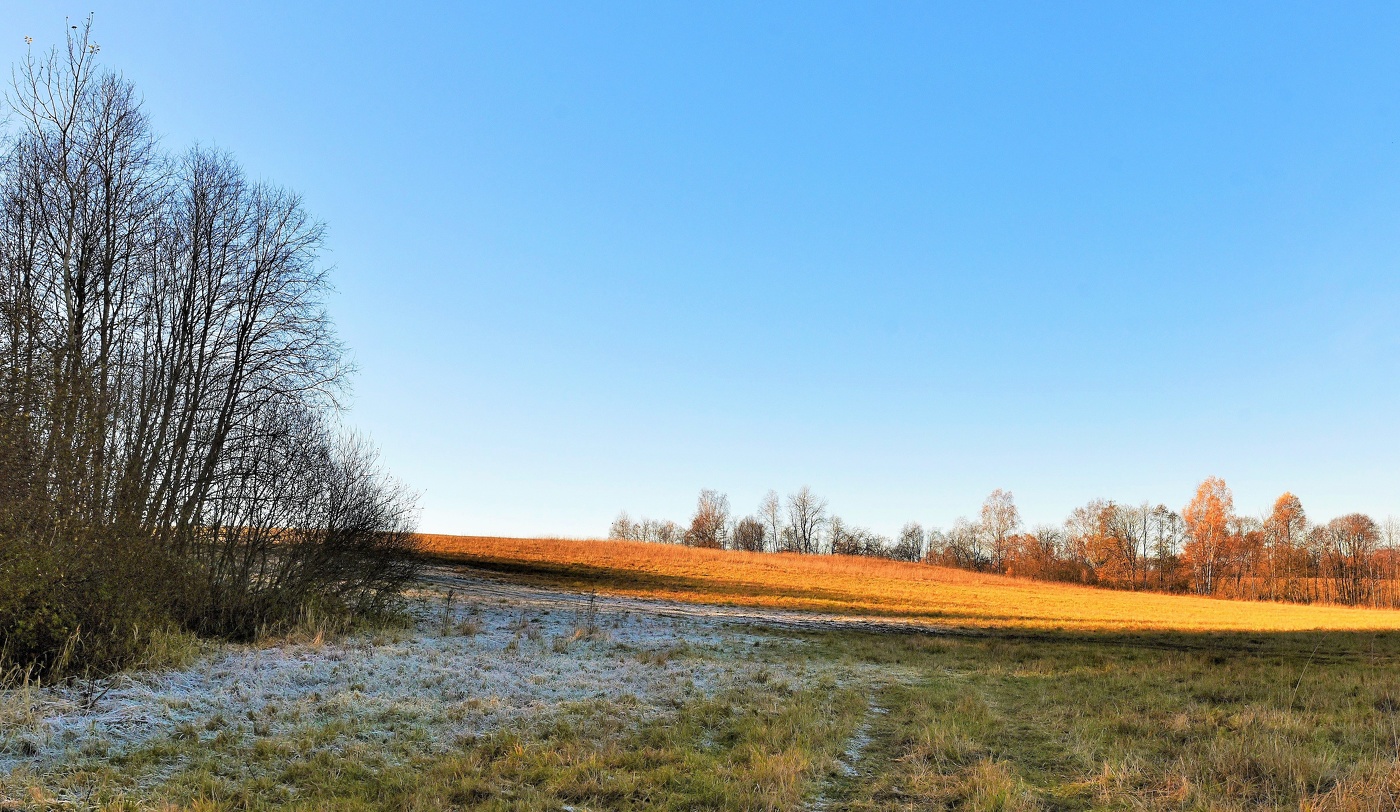 "Славная осень! Морозные ночи, ясные, тихие дни..."