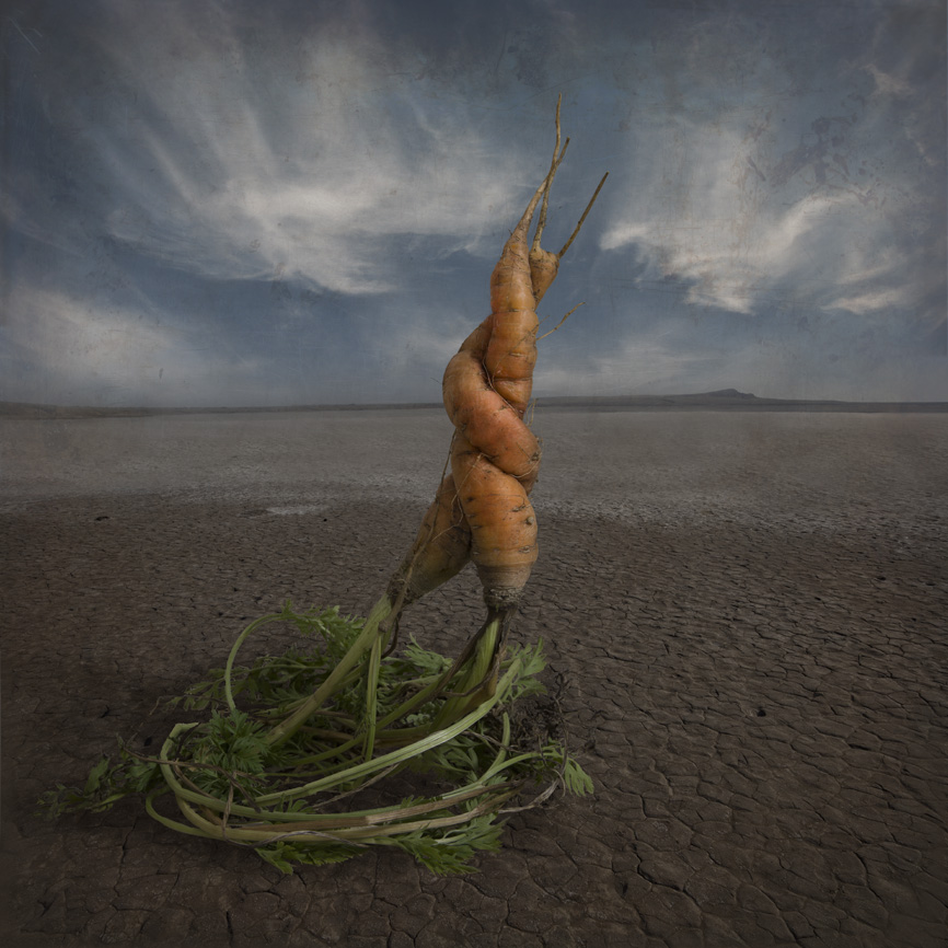 Любовь- Морковь