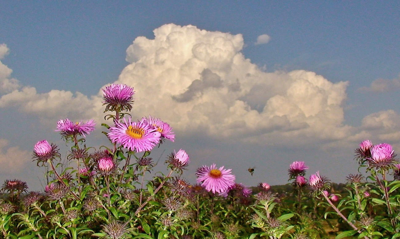 Сентябринки-октябринки!