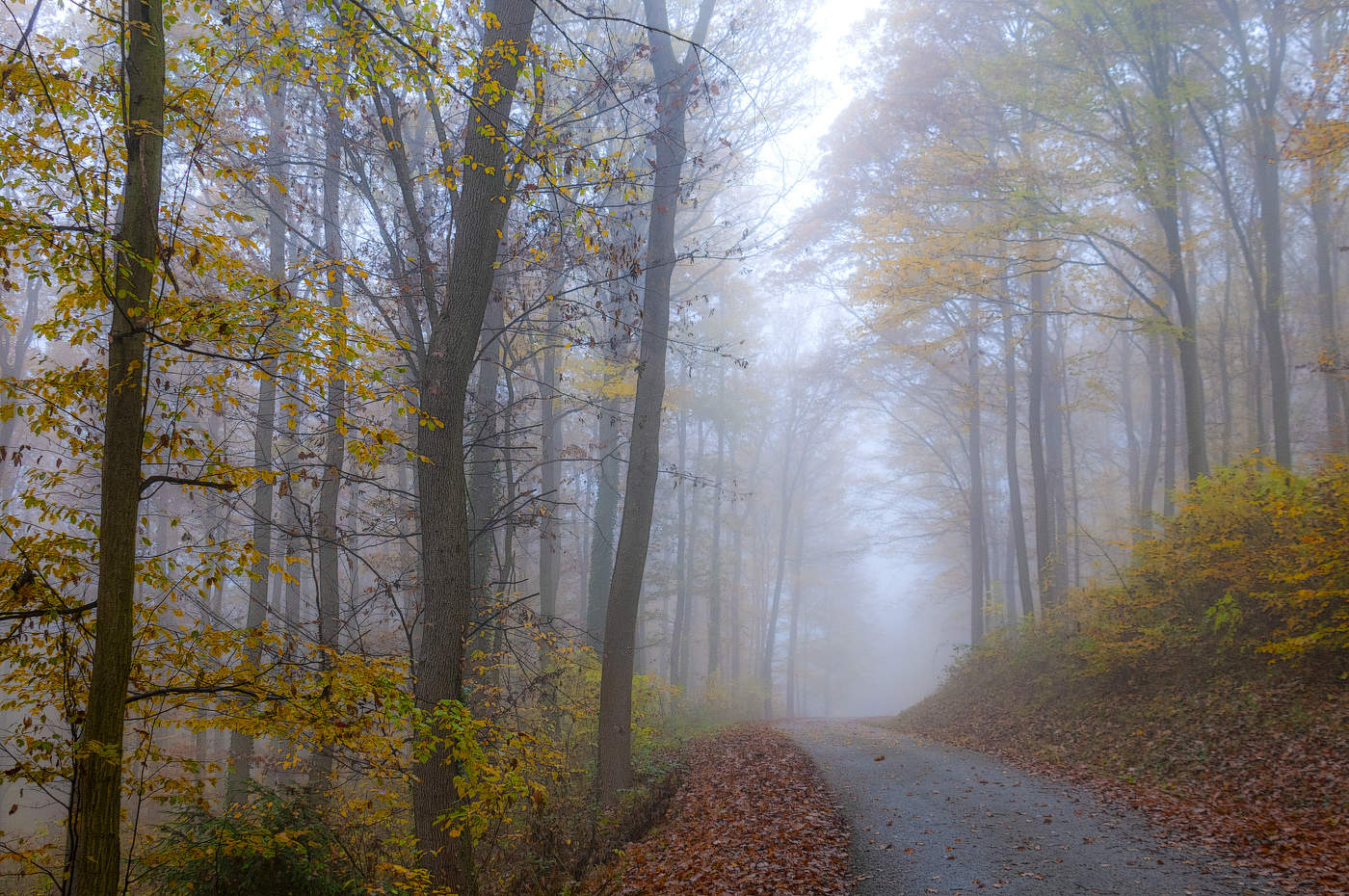 Осенний этюд