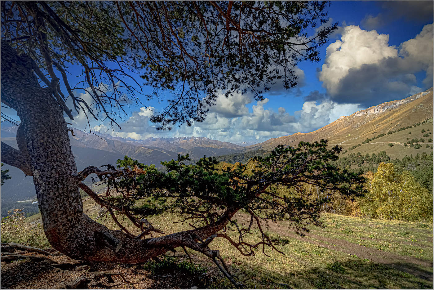 Высоко в горах