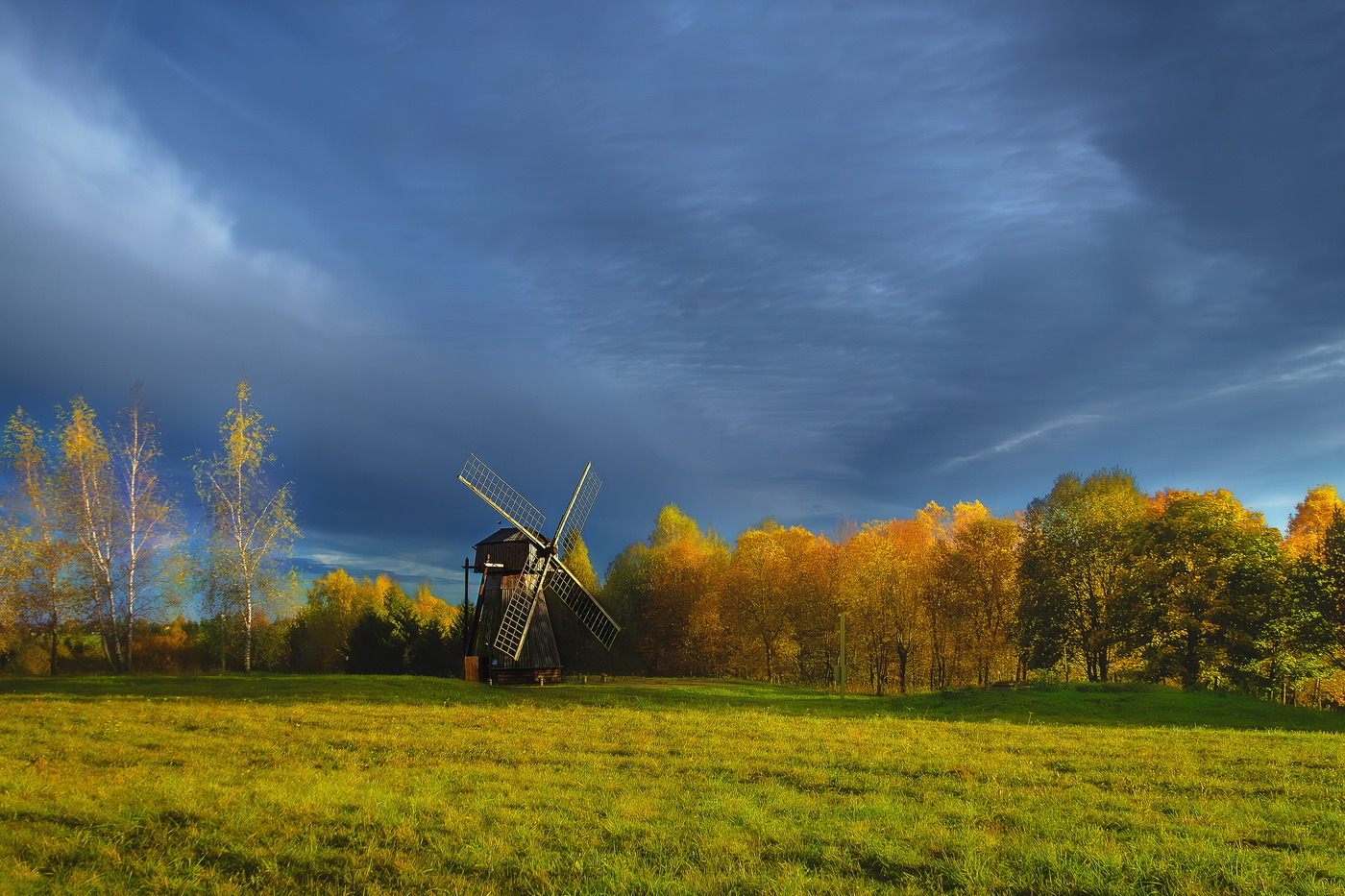 Прогулка за городом