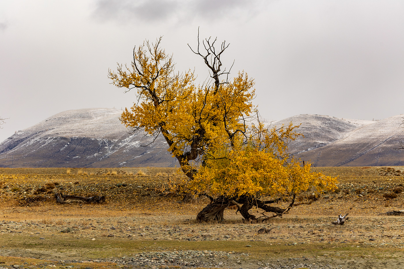 Шаманский танец