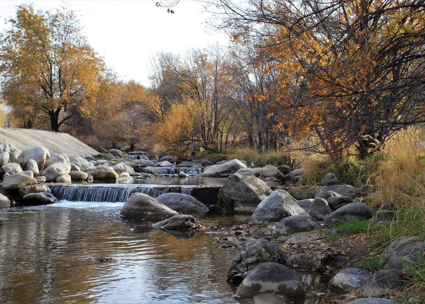 Осень городского типа