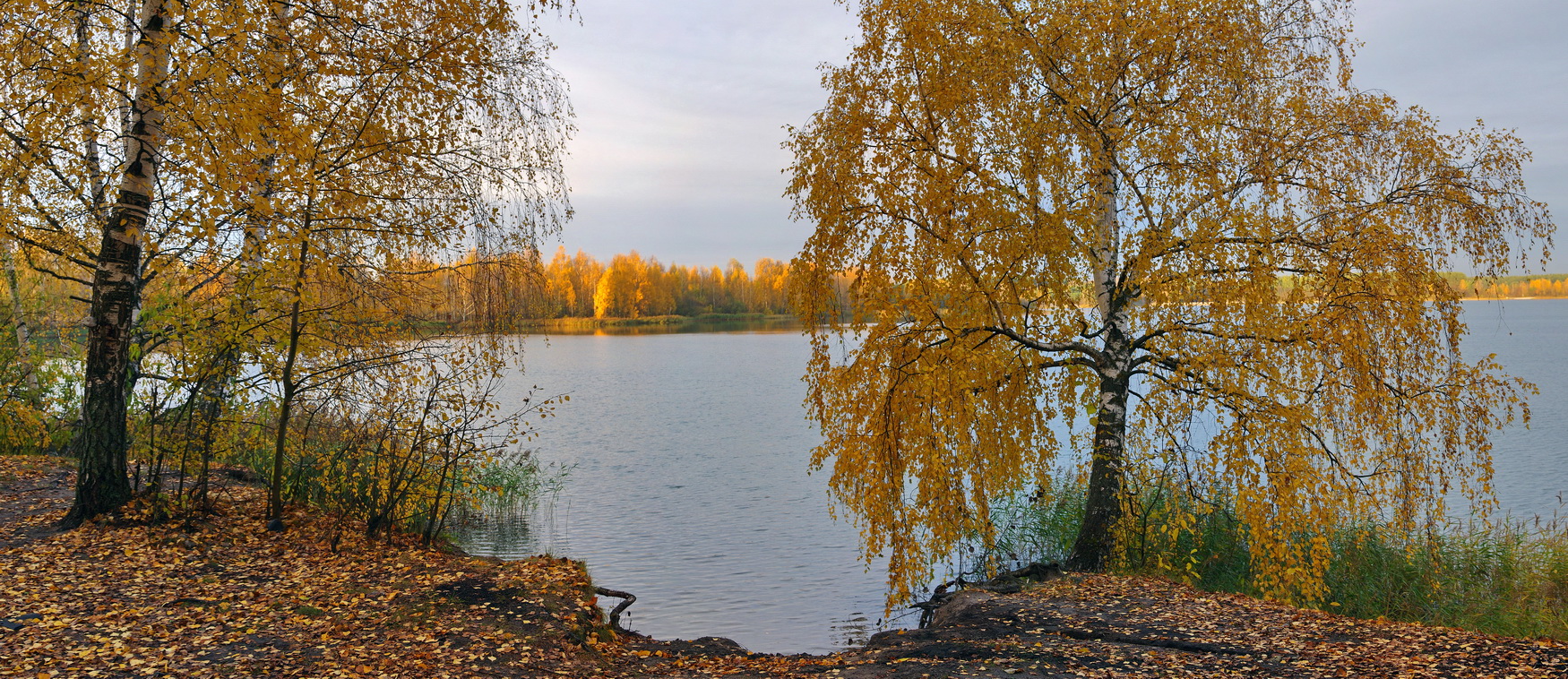 Золотая осень