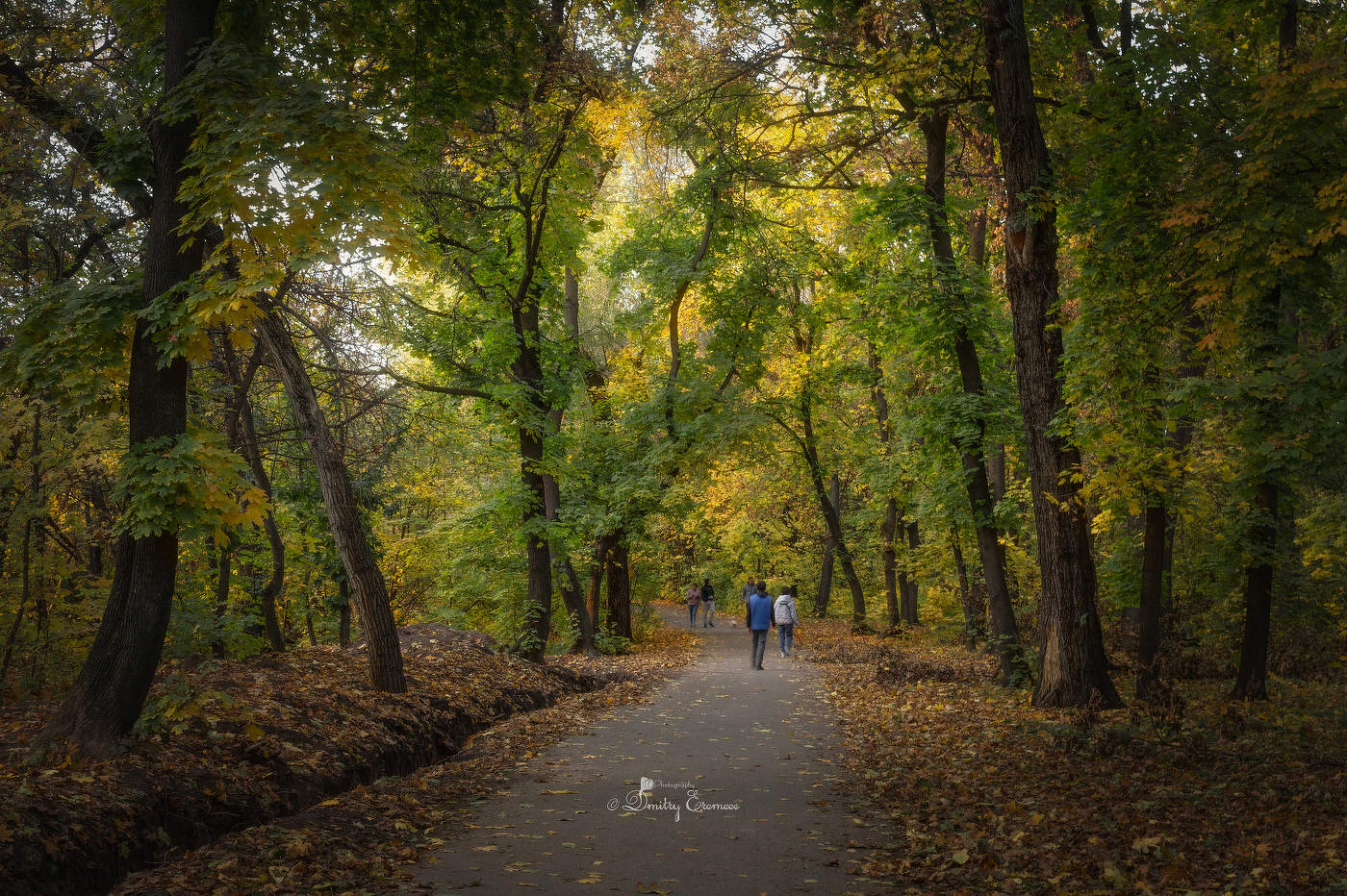 Осенняя прогулка...