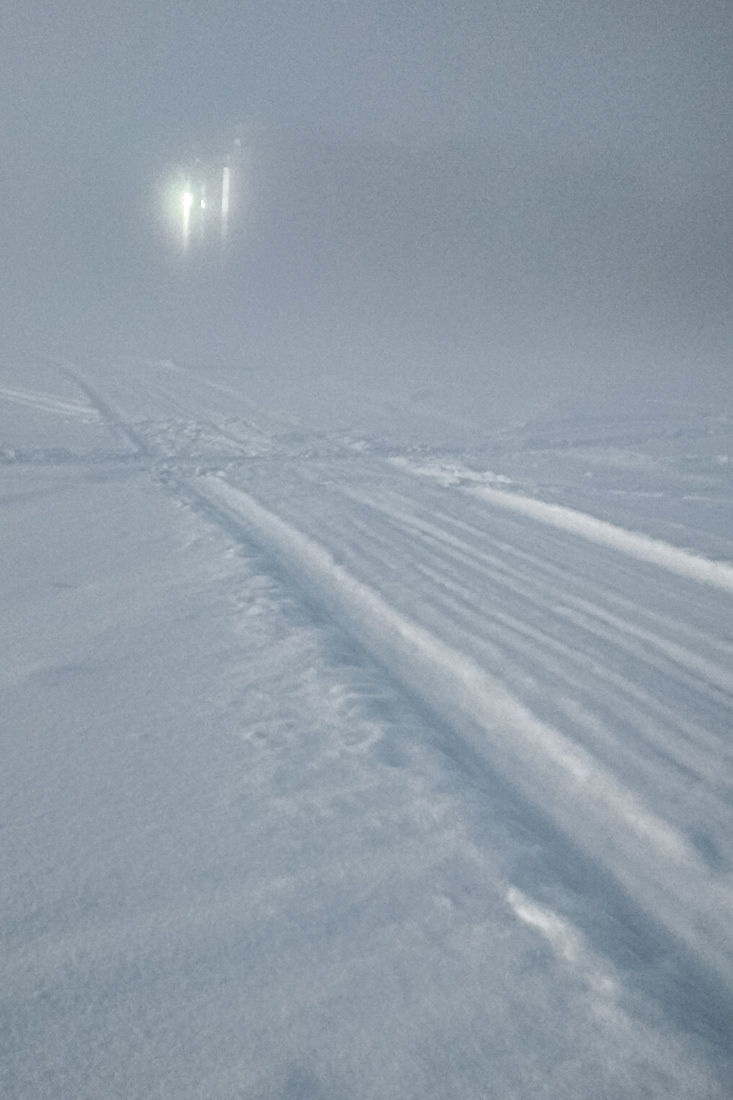 Флешмоб fog-flash