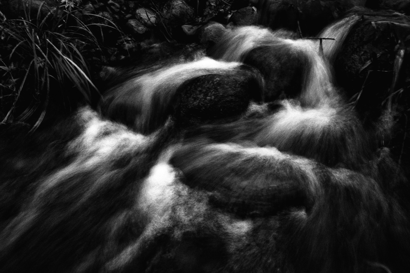 Жизнь вокруг