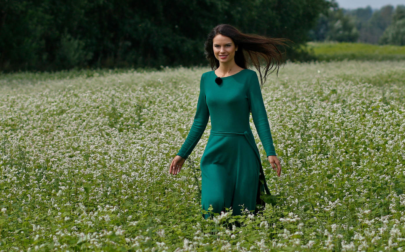 Гречиха зацвела.