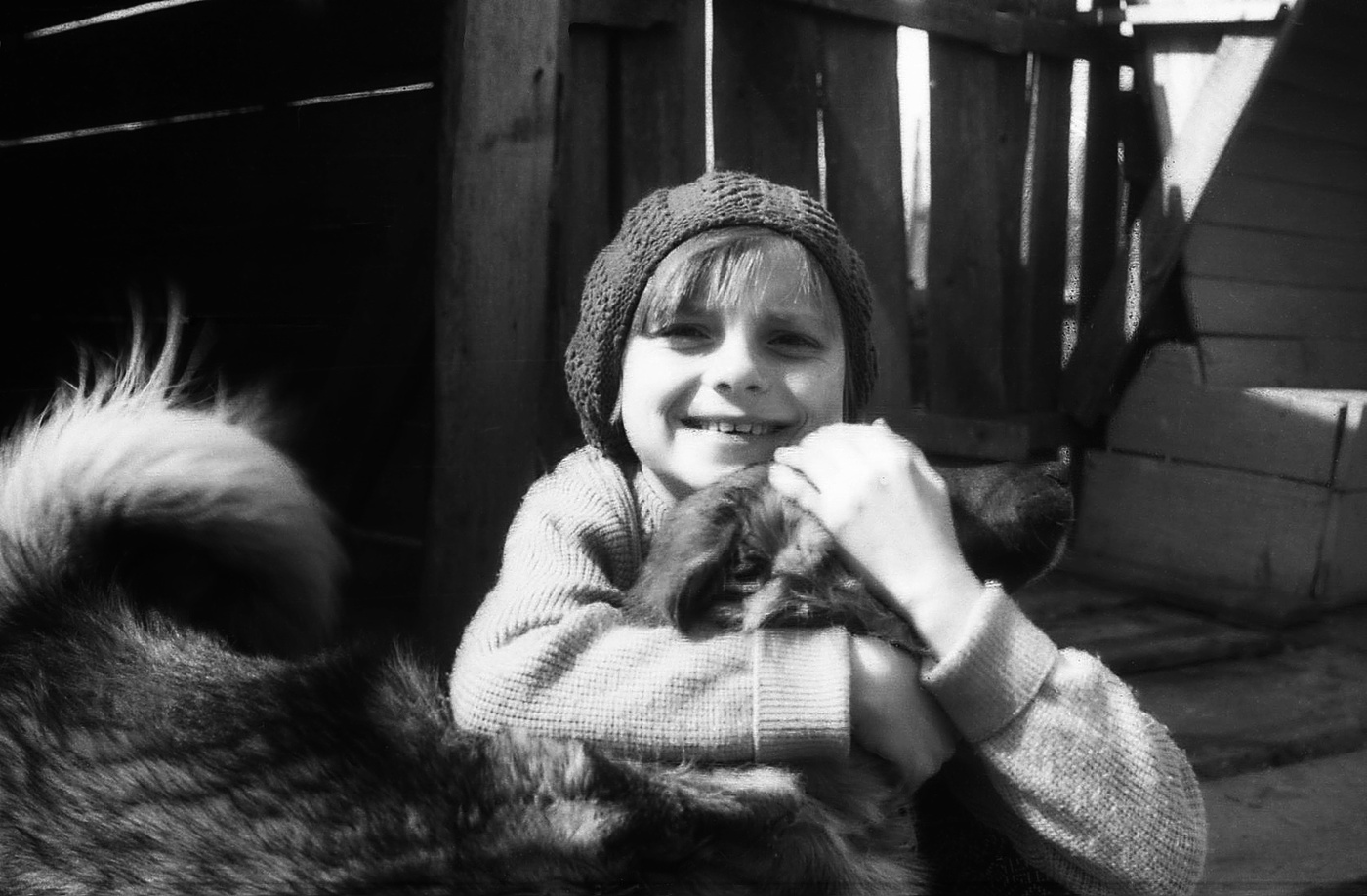 Встретились друзья