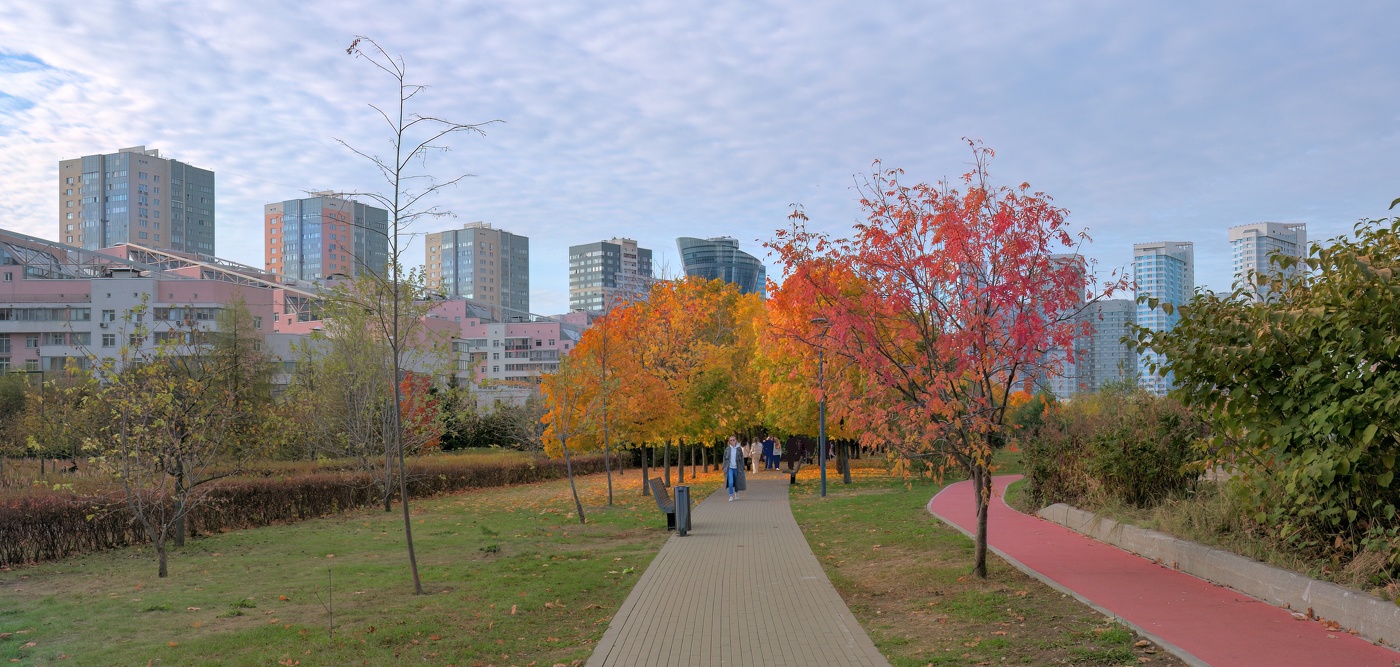Осень в Хамовниках