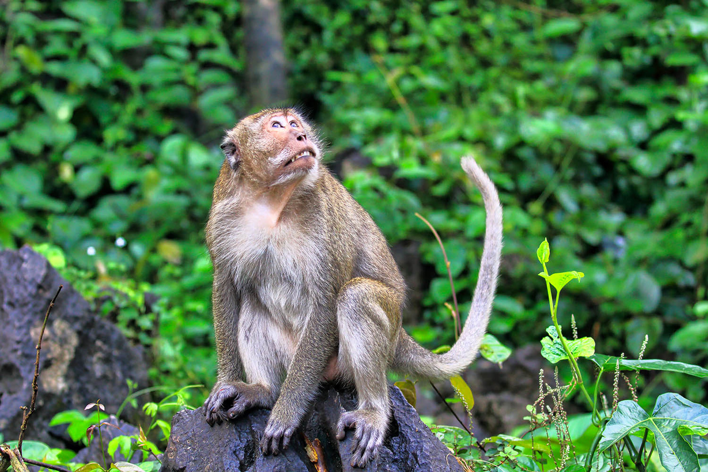 "Дивлюсь я на нэбо, та думку гадаю. - ЧОМУ ..???"