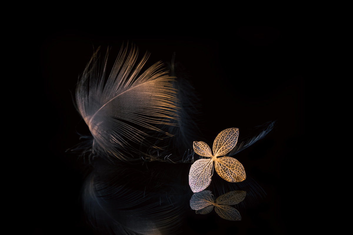 Леймотив октября.