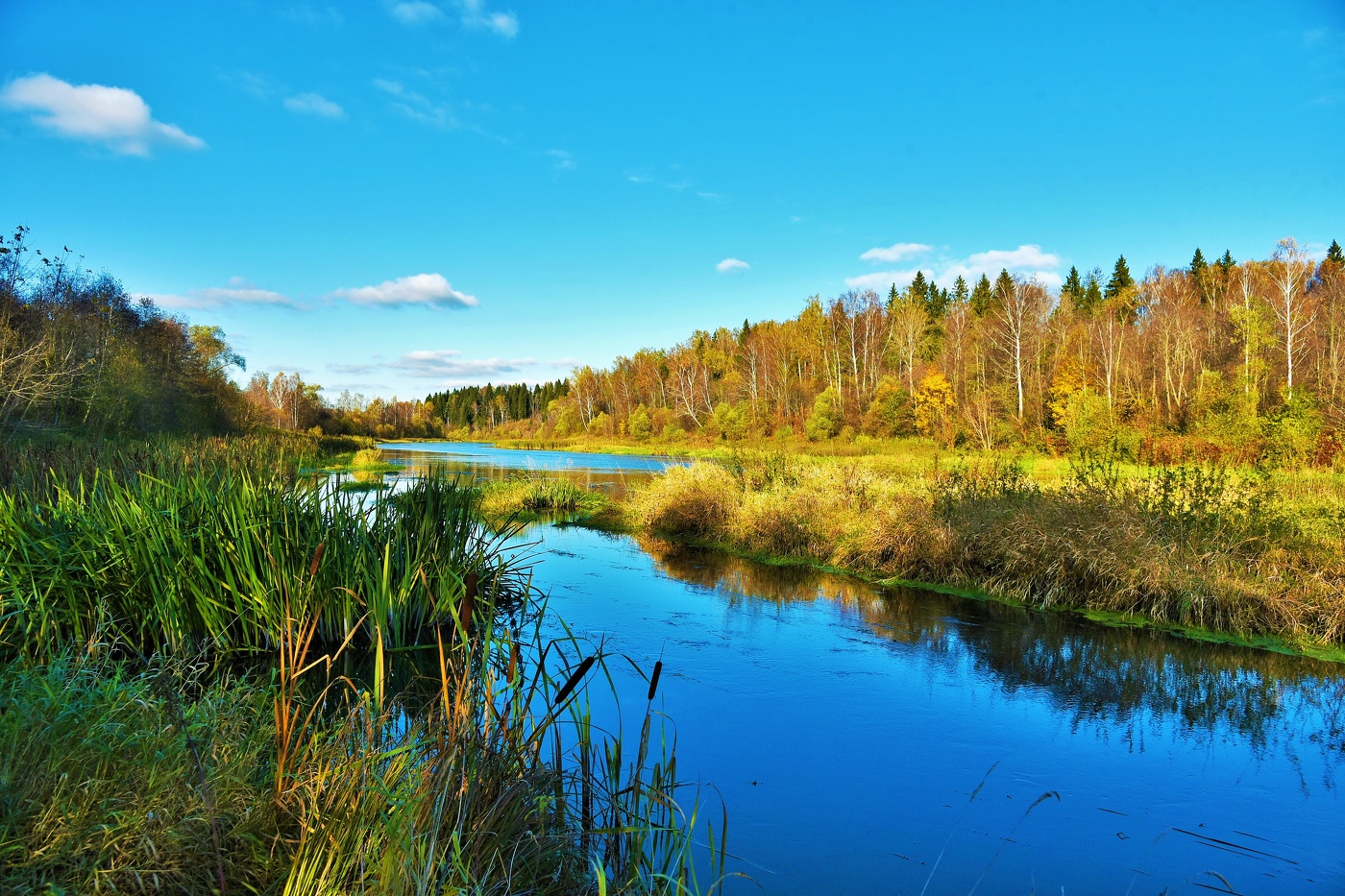 "Пустеет воздух, птиц не слышно боле ..."