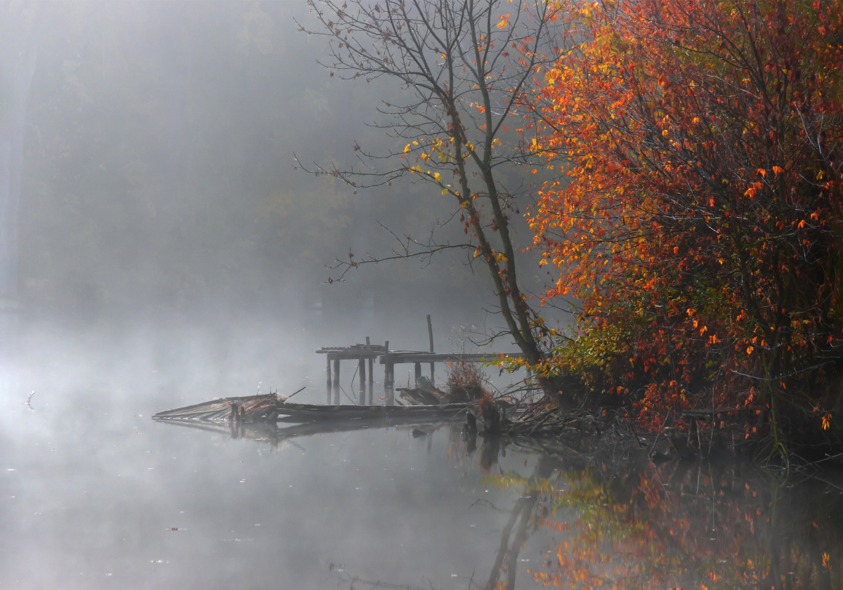 "Октябрь уж наступил"...