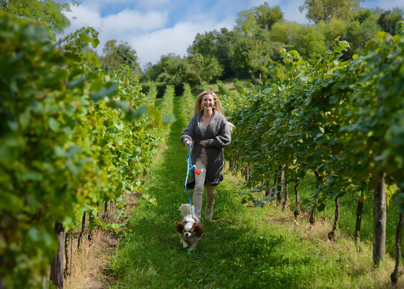 Настроение