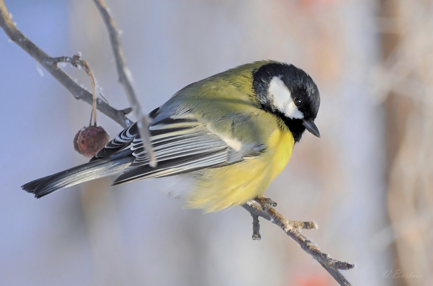 Ближе к людям