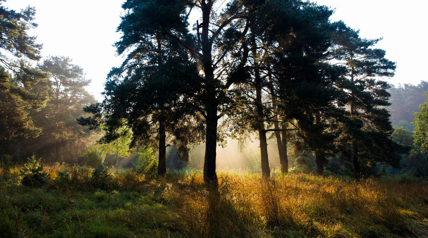 Солнце встает.