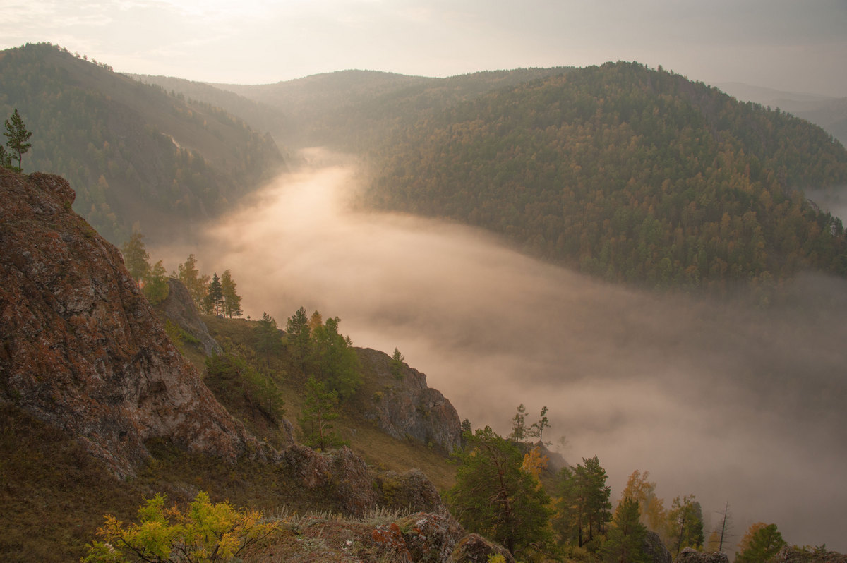 Туманная осень.