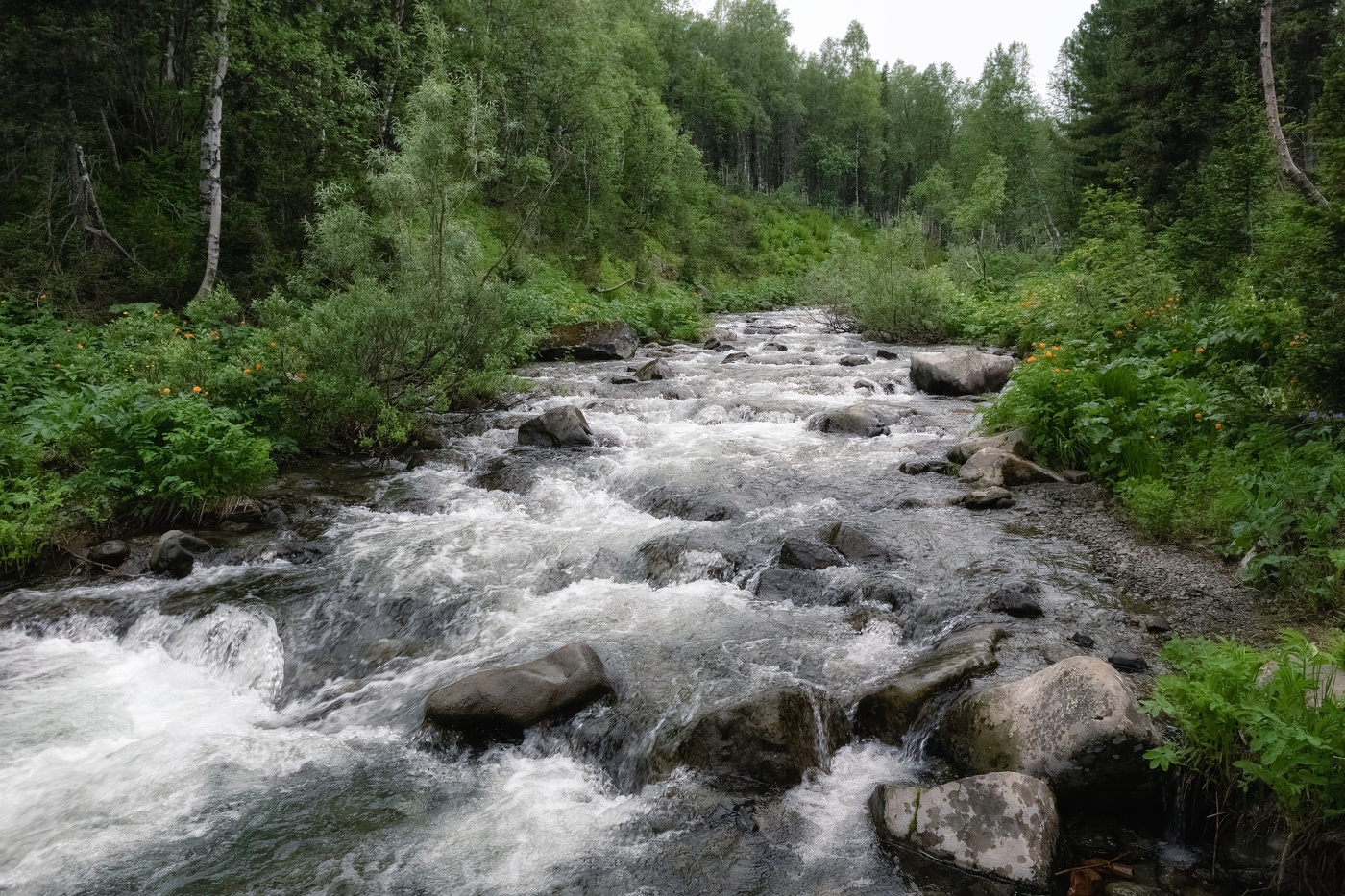 Река Сарала