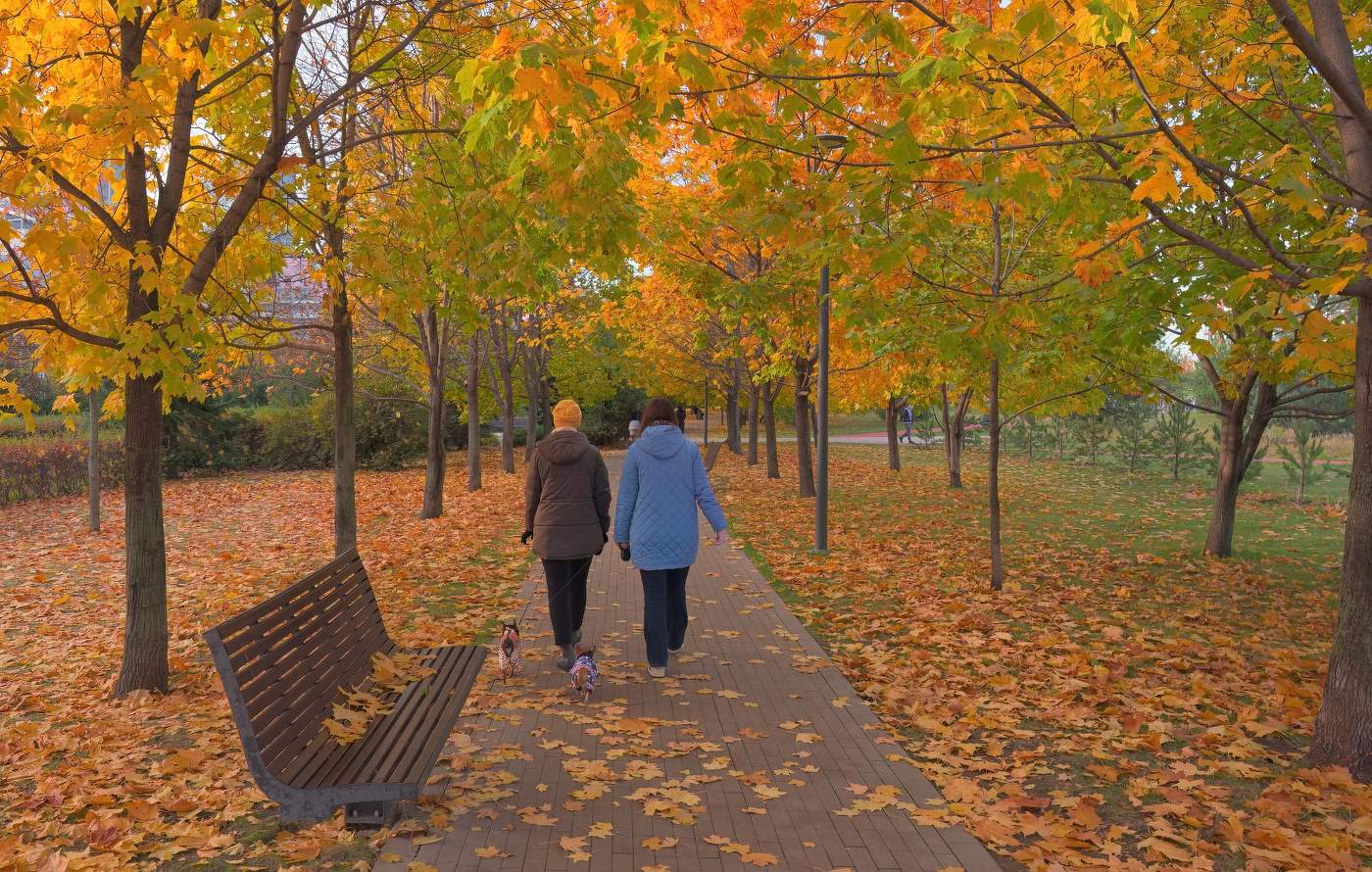 Осенние дни