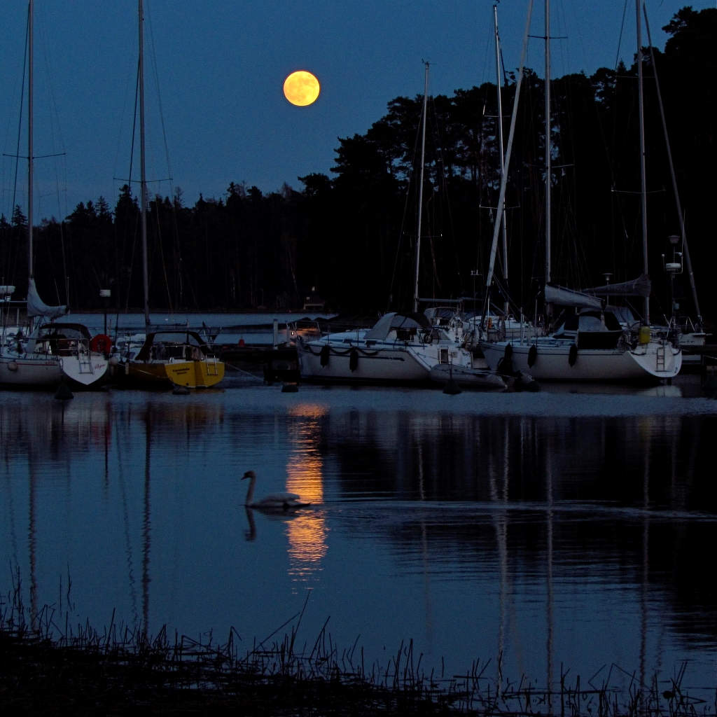 В ЛУННОМ СВЕТЕ