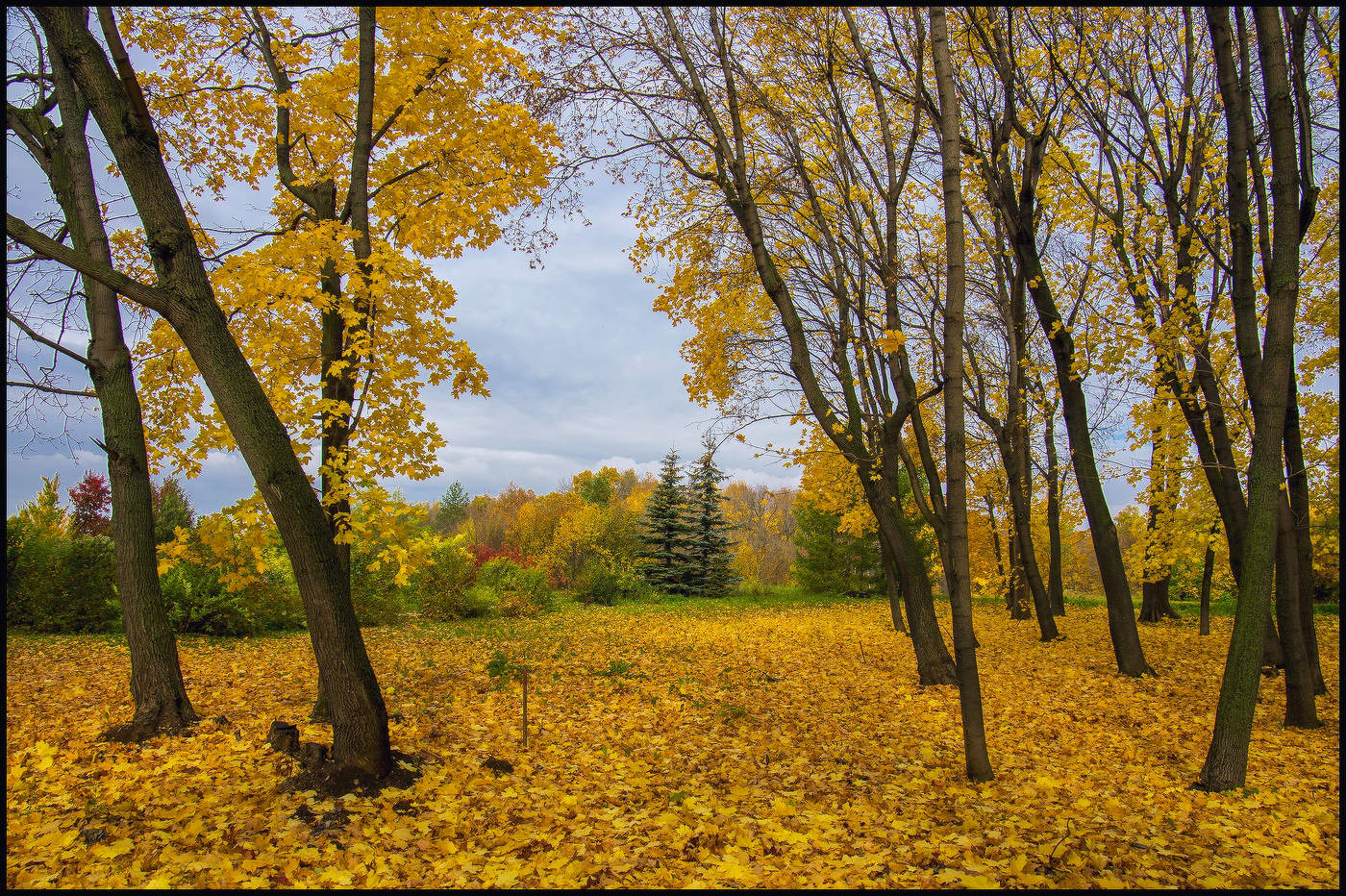 Осенние зарисовки