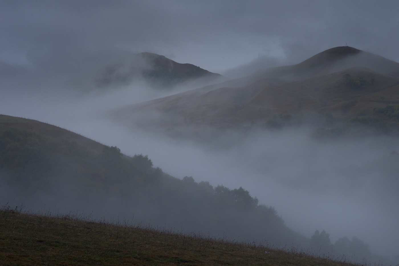 Туманный рассвет