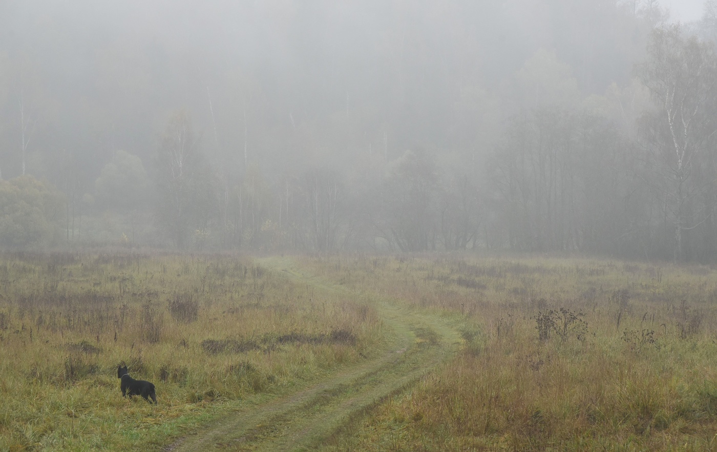 "Как грустный взгляд, люблю я осень ..."