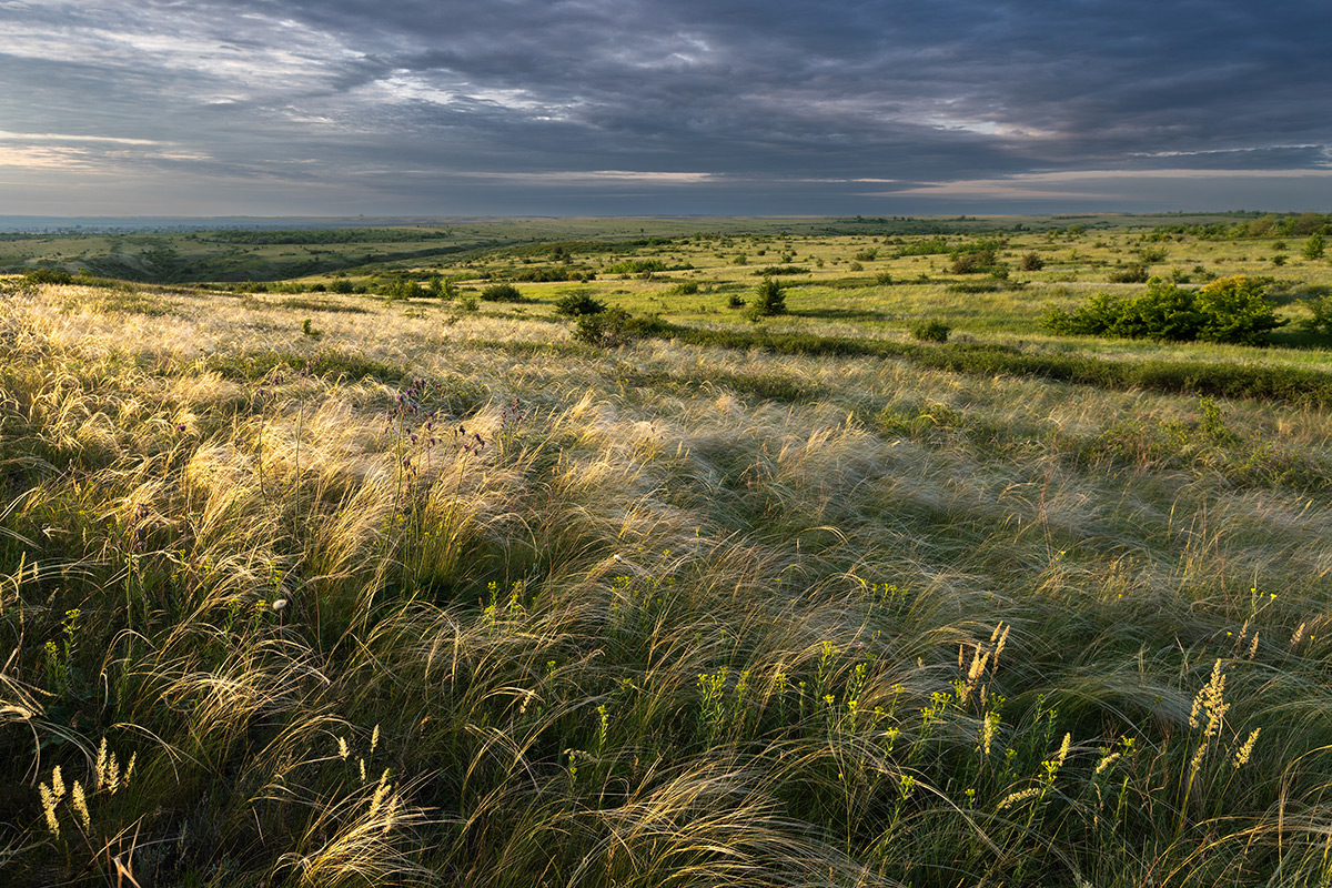 Конца и края нет
