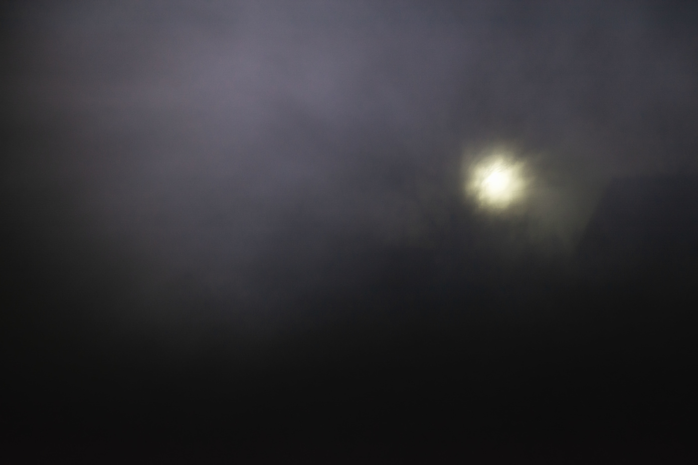 Жизнь вокруг