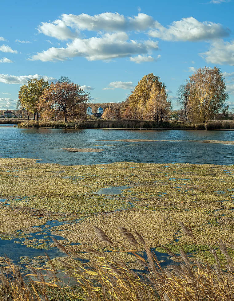 Золотые острова.