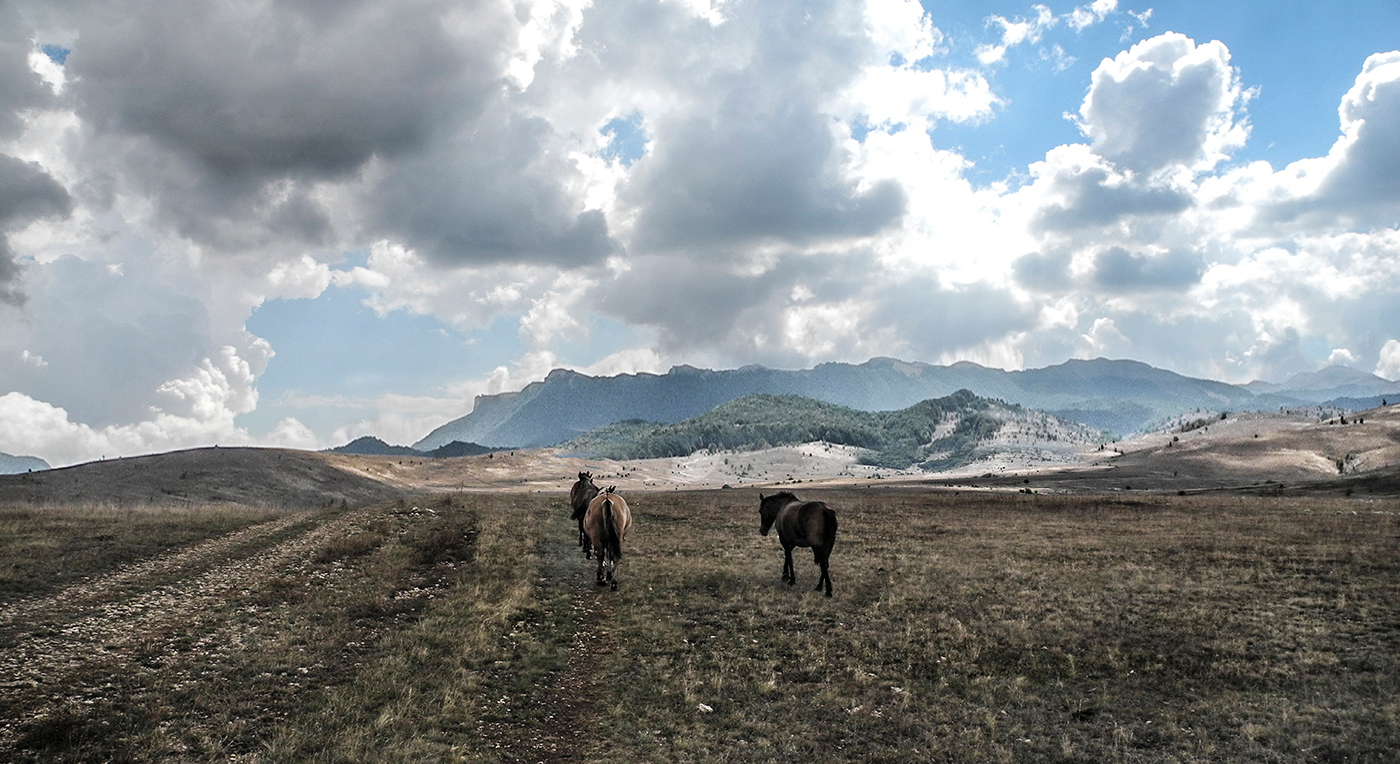 Осенняя Природа яйлы