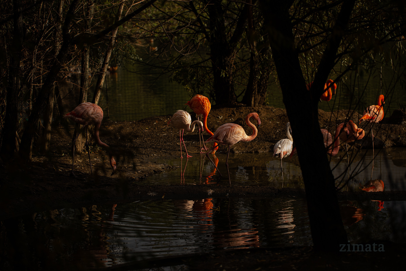 Вдали под солнцем