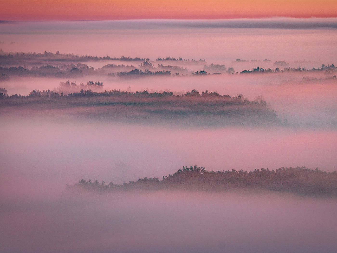 Нежный пейзаж