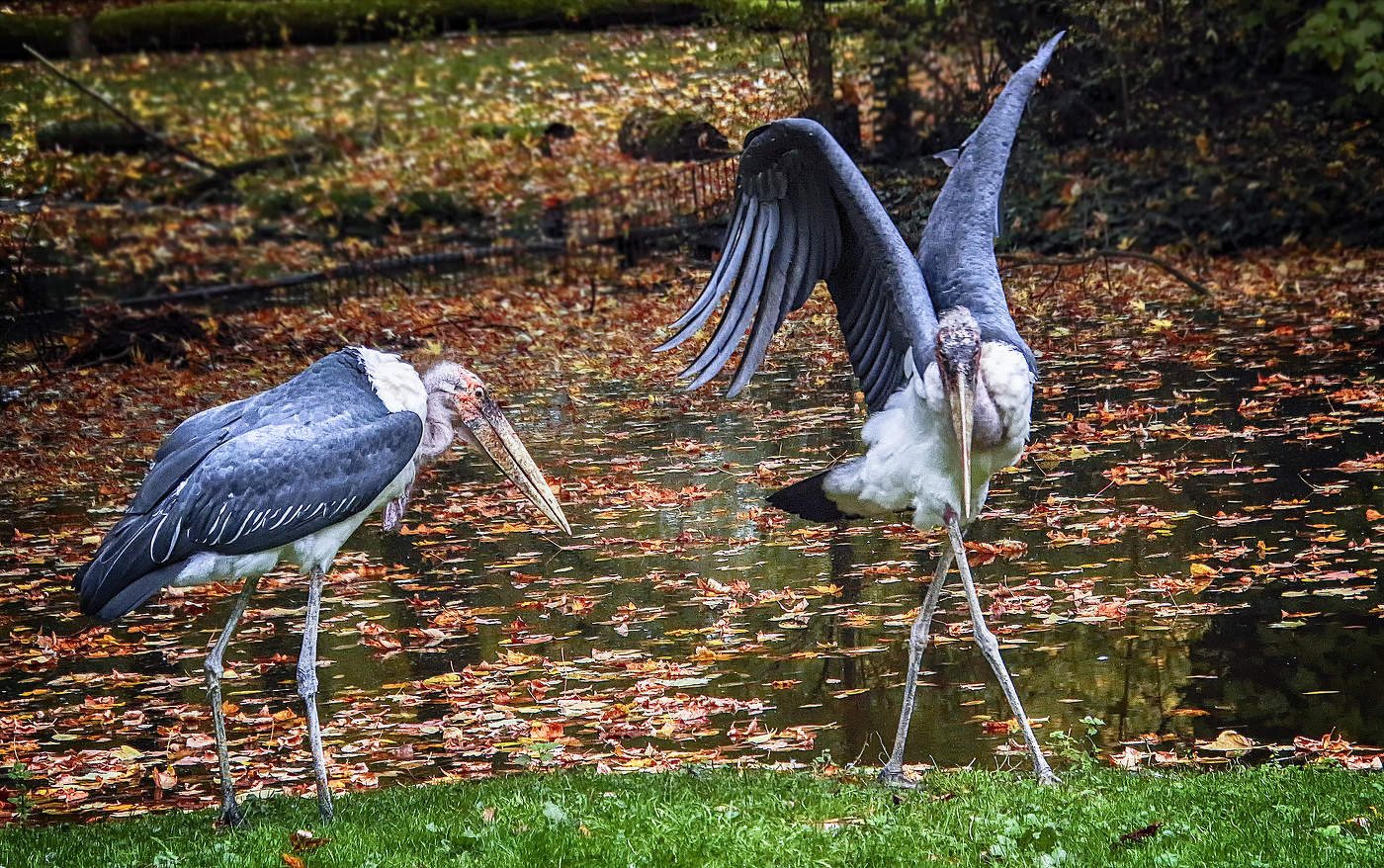 Ну что вы, не приставайте ко мне