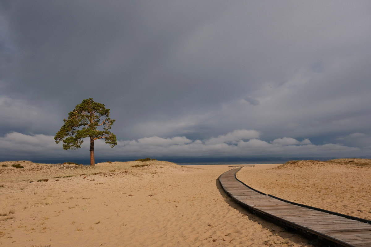 Дорожка к озеру.