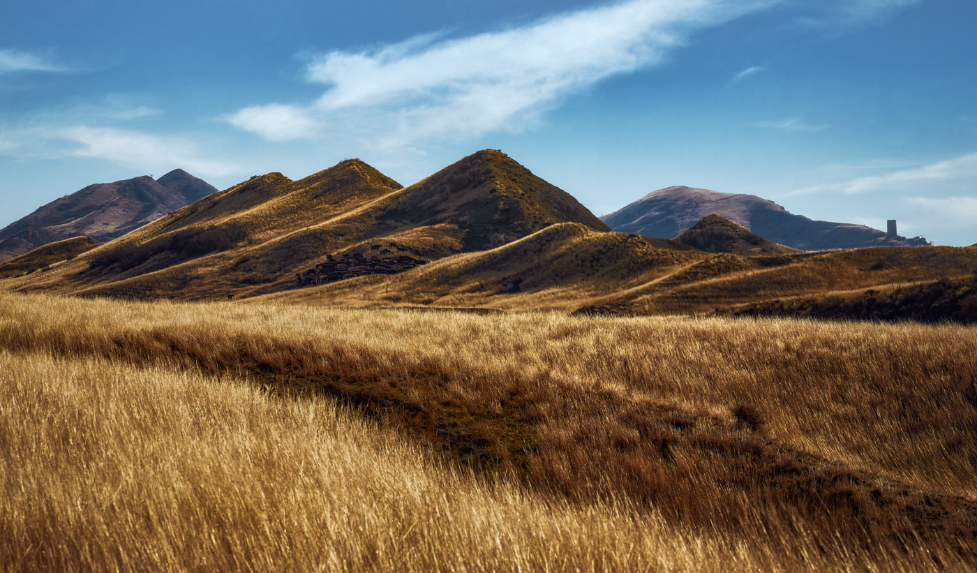 степная Грузия