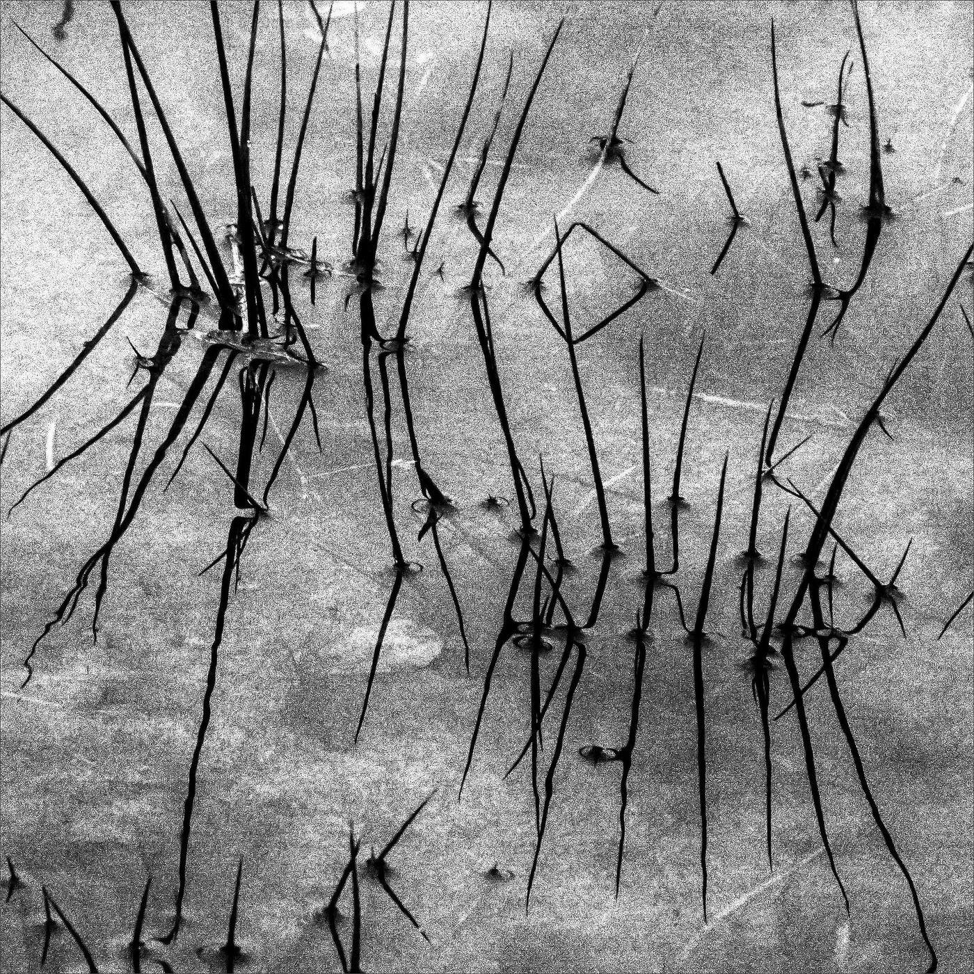 Жизнь вокруг