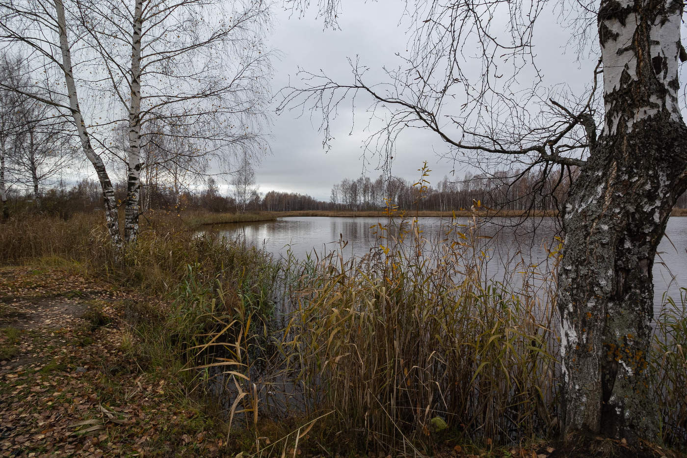 Обычная осенняя погода