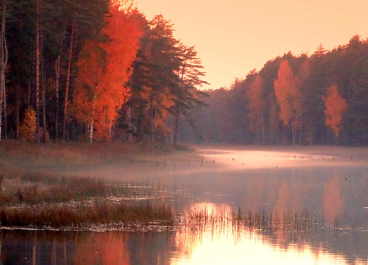 Осенние вечерние краски