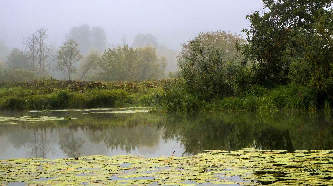 В последние дни лета.