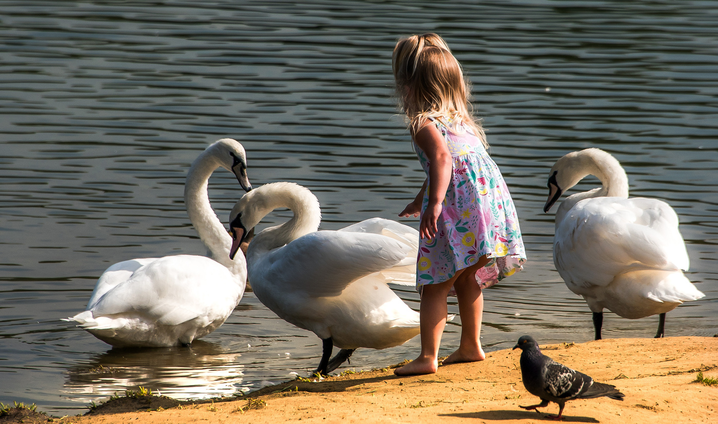 "Можно погладить?"