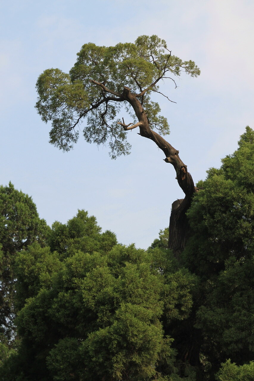 Природа Китая