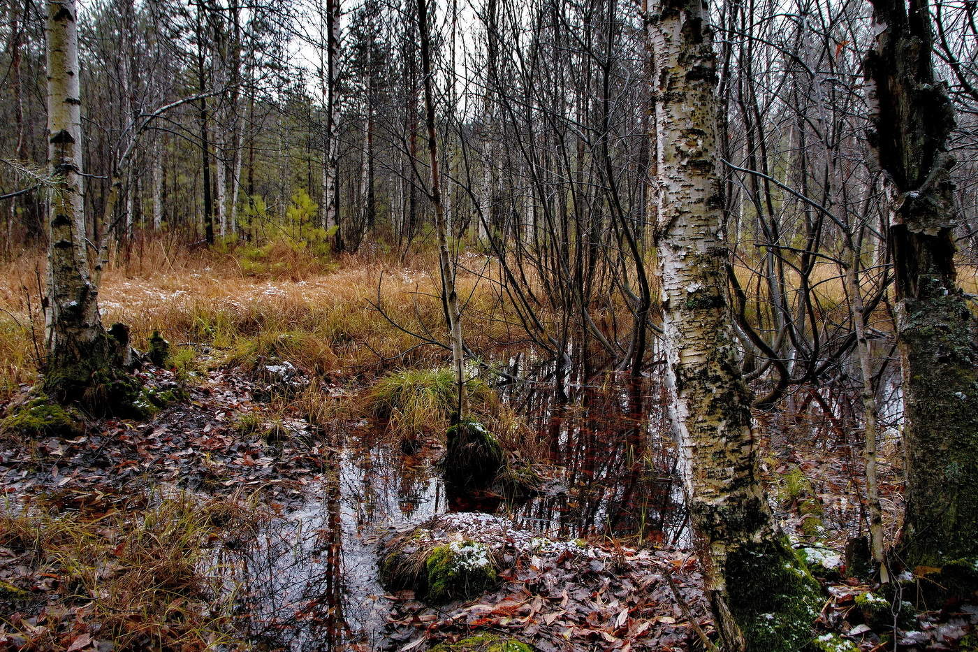 **Поздняя осень.*