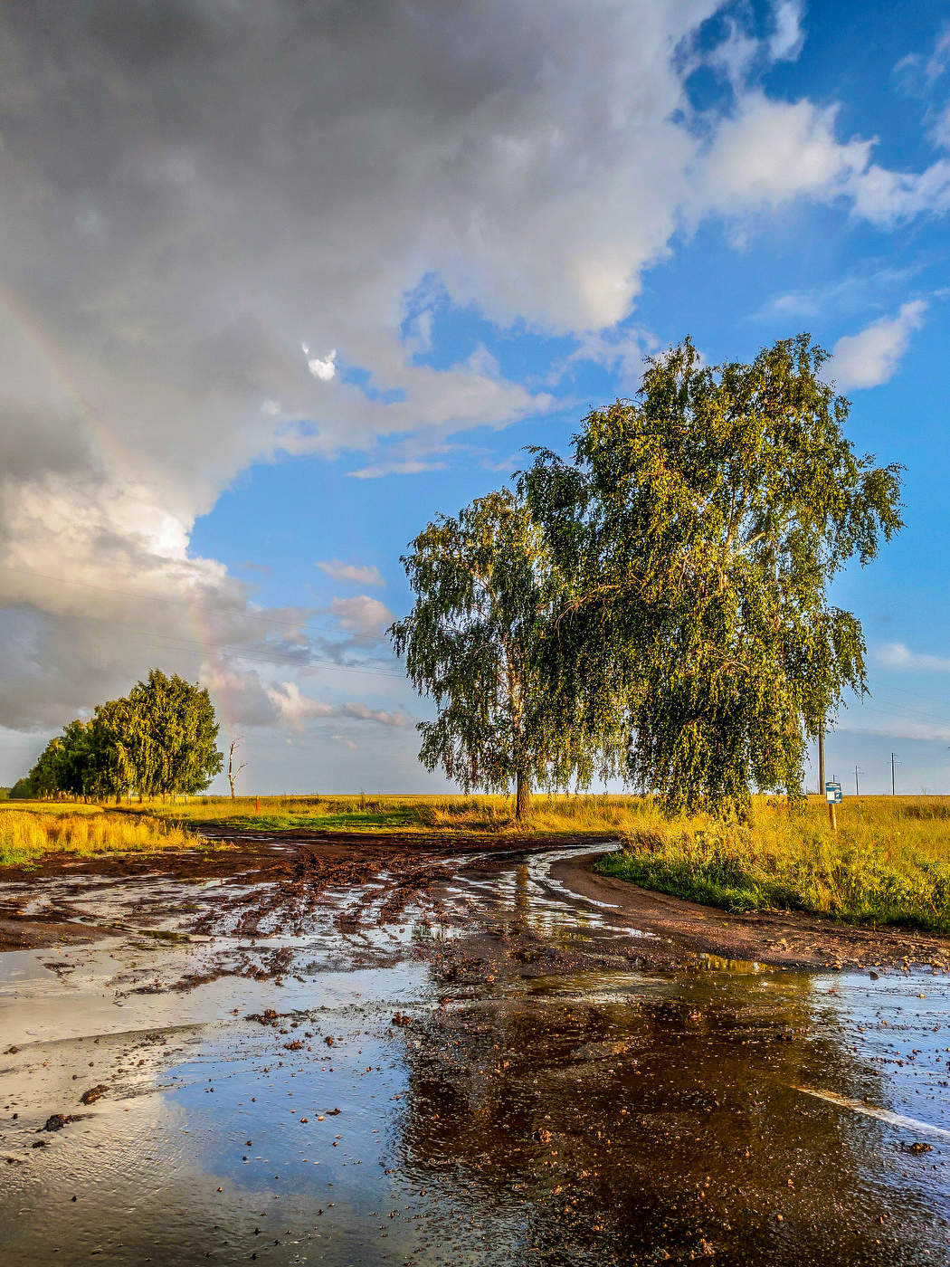 И снова светит солнце!