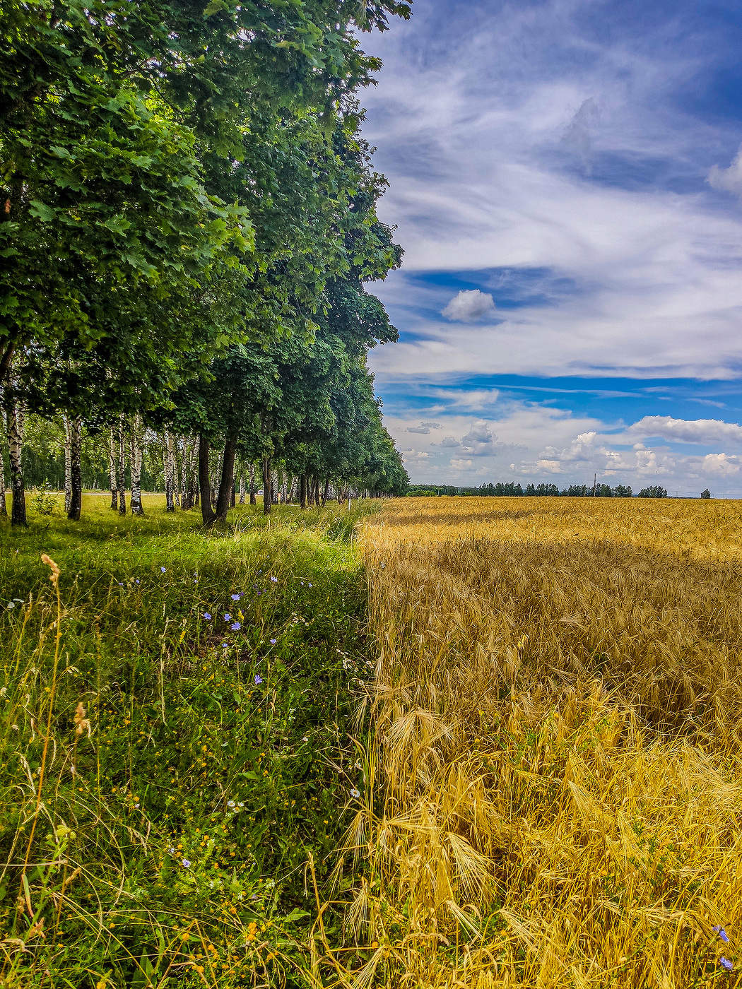 Одна четвёртая