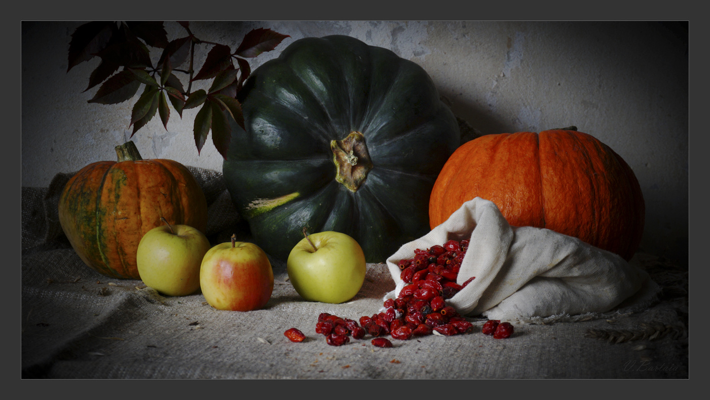 С шиповником