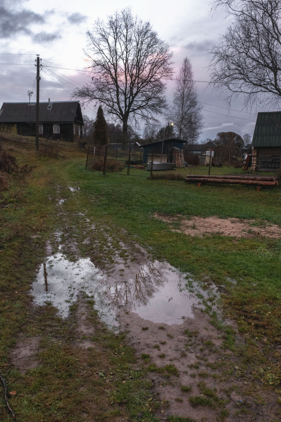 Жизнь вокруг